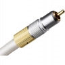XTZ()lӍ̖(ho)(xin):Pearl White 1.5m